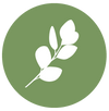 tidyspot LLC green logo