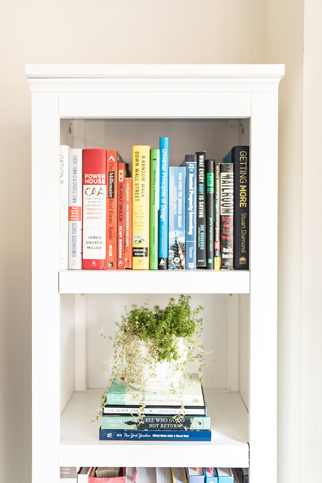 tidyspot Organized bookshelf with plants