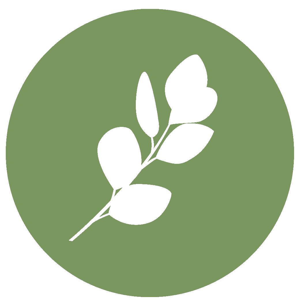 tidyspot LLC green logo