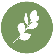 tidyspot logo